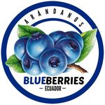 Blueberries Ecuador