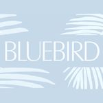 BLUEBIRD SHOPS