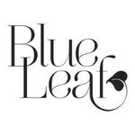 Blue Leaf Houston