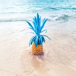 Blue Pineapple Barbados