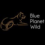 Blue Planet Wild Tours