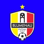 Blumenau Futsal