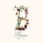 BLUMM Flower Co.