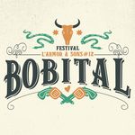 FestivalBobitalL'ArmorÀSons