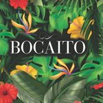 Bocaito 🌺