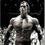 Bodybuilding e Motivação Bodybuilding e Motivação