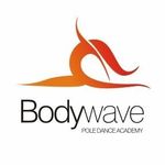 Bodywave Academia Pole Dance