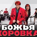 Группа Божья коровка