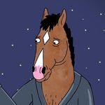 Bojack Horseman memes