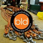 Bold Lead Designs