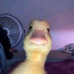 Masbo Masbo