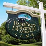 Border Springs Farm Lamb