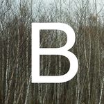 Boreal Collective