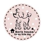 BorisHouse