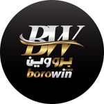 Borowin برو وین