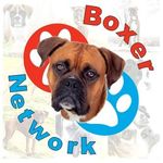 Boxer Network