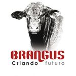 Asociación Arg. de Brangus