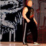 Brock Lesnar MMA/WWE