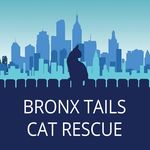 Bronx Tails Cat Rescue