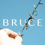 BRUCE