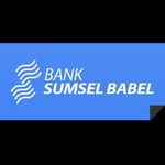 Bank Sumsel Babel Volleyball