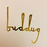 buddug_studio