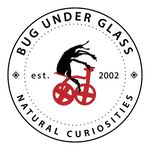 Bug Under Glass