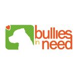 Bullies in Need