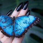 Sarah Folts 🦋 TheButterflyBabe