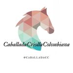 Caballada Criolla Colombiana