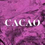 CACAO Chocolates & Macarons