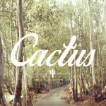 Cactus: Mochilas y accesorios