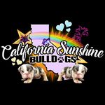 CALIFORNIA SUNSHINE BULLDOGS