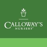 Calloway's Nursery