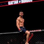 calvinkattar