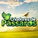 Criadores de Pássaros OFICIAL