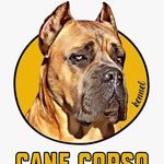 Canecorso_Lions Blood Kennel