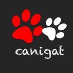 CANIGAT TV  🐾