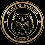 Bull's Mania Kennel