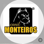 Canil Monteiros - Pit Bull