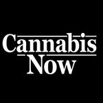 Cannabis Now