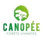 Canopée