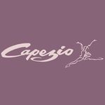 Capezio Brasil