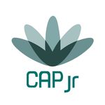 CAP jr Consultoria