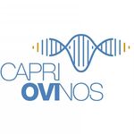 CAPRIOVINOS