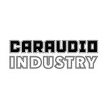 ▪︎ CarAudio Industry ▪︎