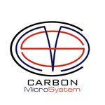 Carbon Microsystem