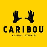 Caribou Visual Studio