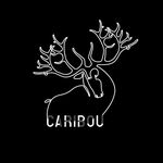 Caribou, 31 Woodquay, Galway