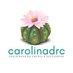 Carolina's Succulents & Cacti